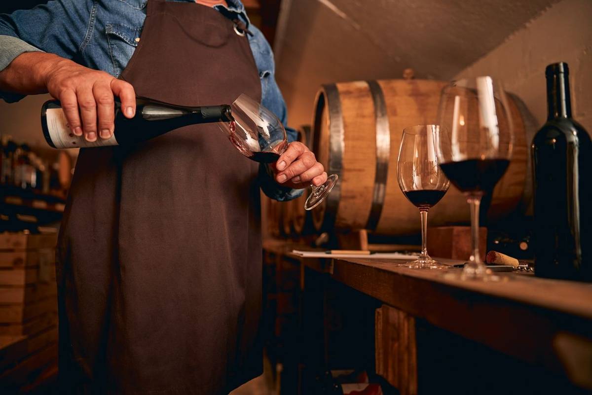 Cropped photo of a male sommelier in a brown apron standing in the cellar and pouring wine into a glass