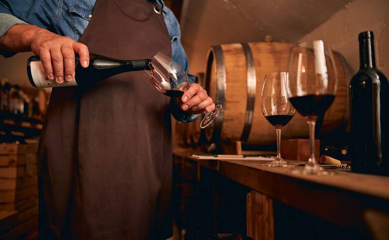 Cropped photo of a male sommelier in a brown apron standing in the cellar and pouring wine into a glass