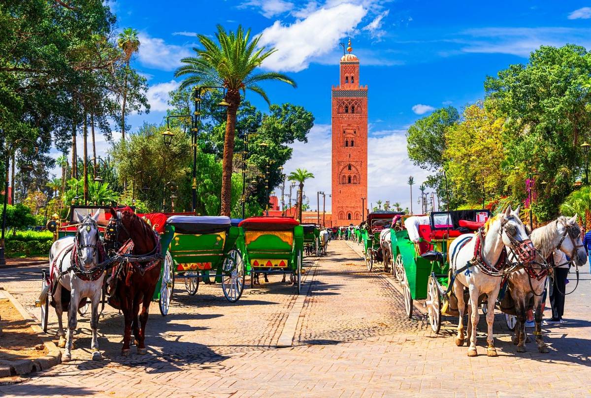Marrakesh, Morocco: Beautiful view of the horse carriage in front of the Koutoubia Mosque minaret at Medina quarter from Jem…