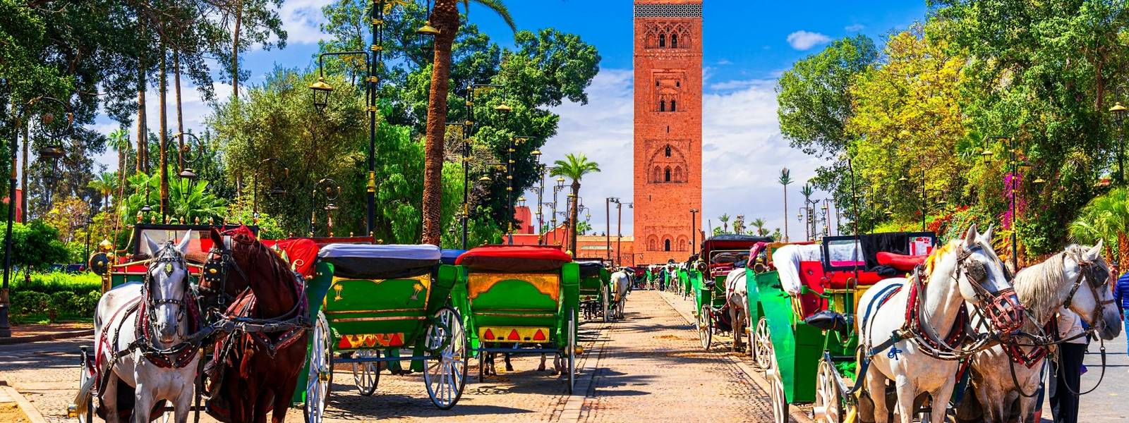 Marrakesh, Morocco: Beautiful view of the horse carriage in front of the Koutoubia Mosque minaret at Medina quarter from Jem…