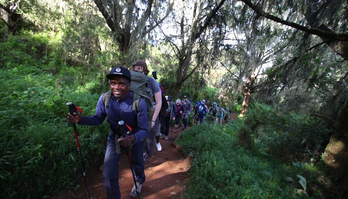 Tanzanian mountain guides leading a group of hikers through the dense jungle on the way to Kilimanjaro