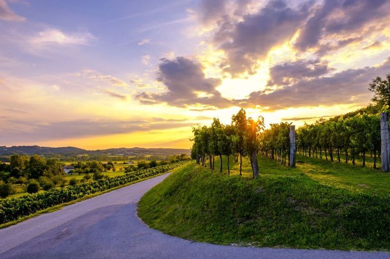 Active Slovenia Getaway - Roundabout Experiences Vipava_Valley_shutterstock_1130492132__1__-_Copy.jpg