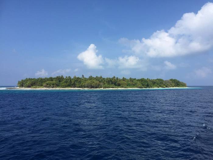 Sailing past a tropical island