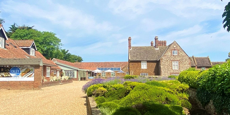 Lovely brick building with a large green garden plant in the foreground.