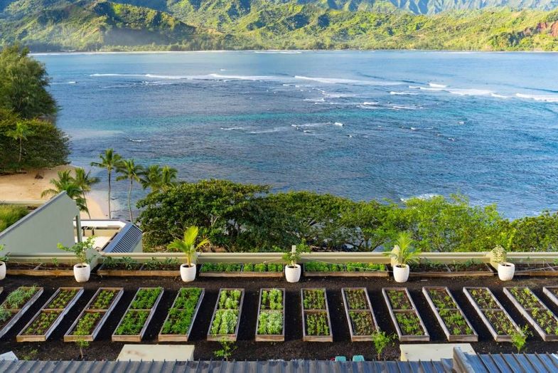 1 Hotel Hanalei Bay rooftop garden.jpg