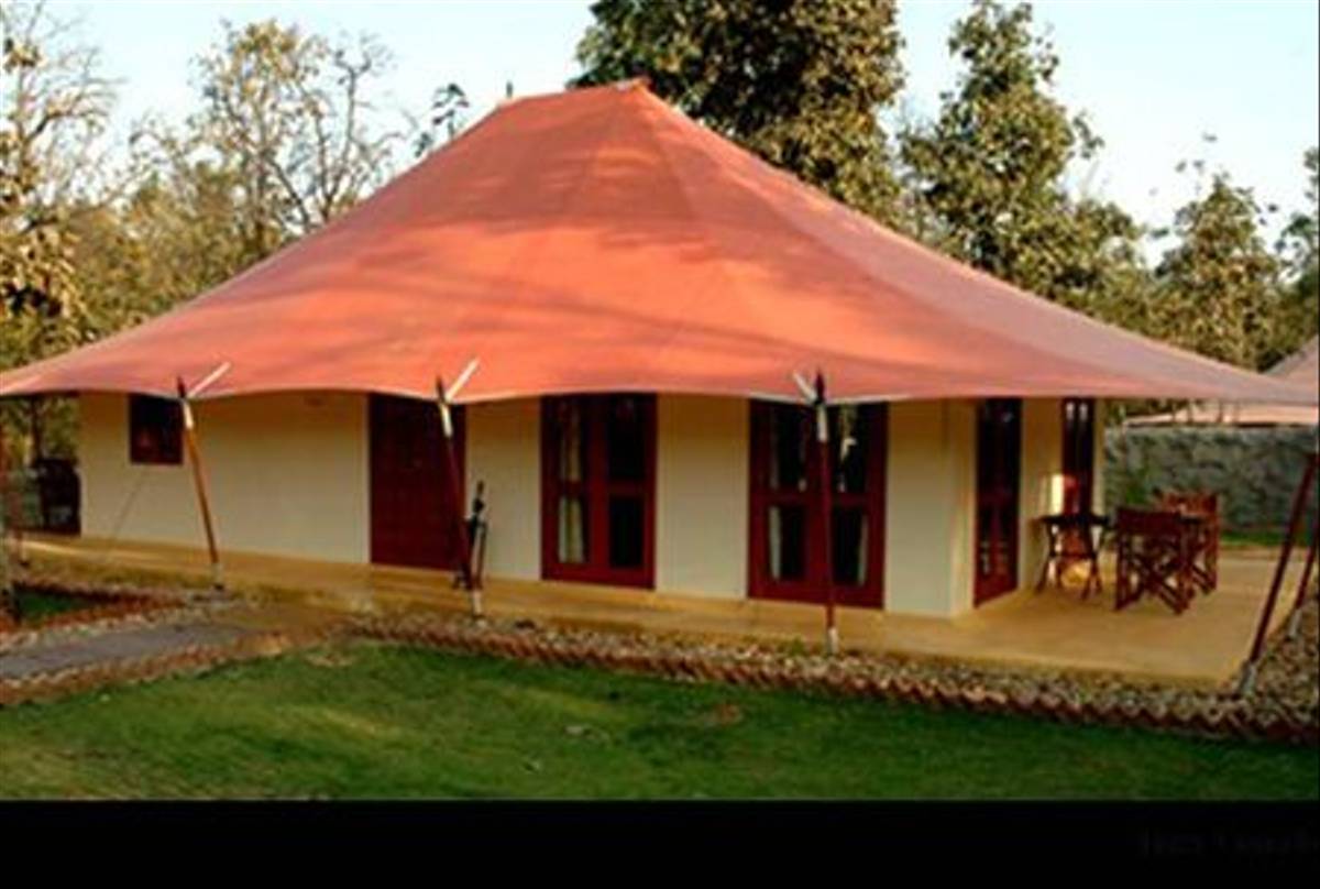 Tuli Tiger Corridor, Kanha National Park
