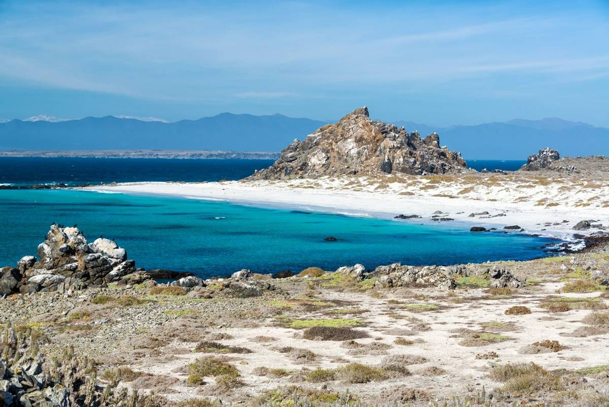 Damas Island near La Serena, Chile