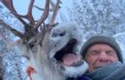 Mandy Evans - Laughing reindeer.jpg