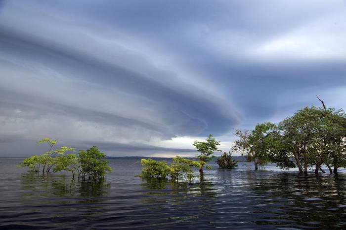 Amazon River (Lee Morgan)