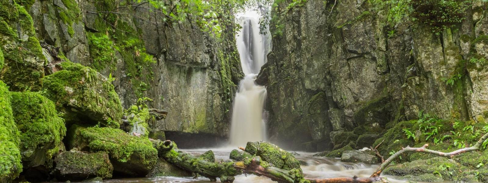 Southern Yorkshire Dales - Gentle Guided - AdobeStock_265223788.jpeg