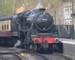 North York Moors - Train - AdobeStock_81864507.jpeg