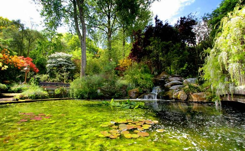 Cornwall -  Great Gardens of Cornwall - Pinetum Gardens - Steve Richards pond.jpg