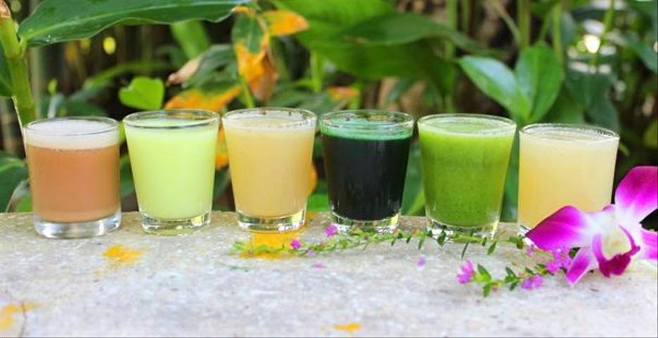 Top 10 Juice Detox Retreats 