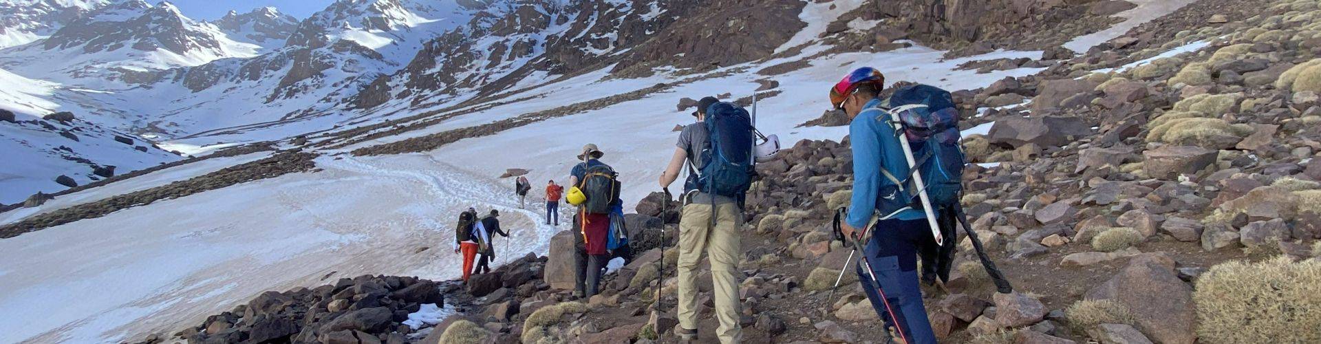Why Do We Use Local Guides?