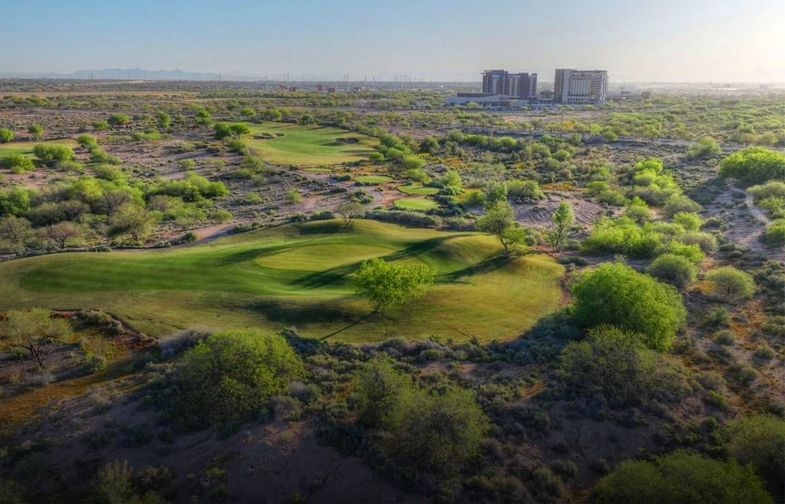 Wild Horse Pass golf.jpg