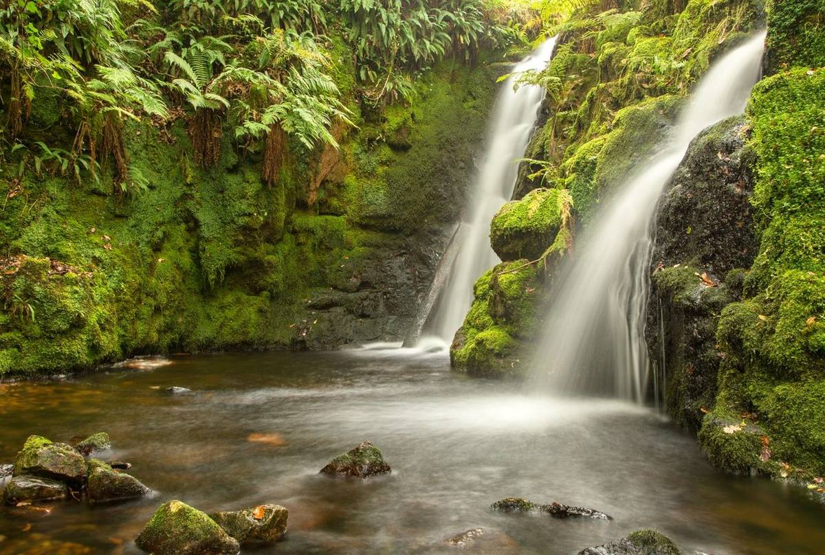 Venford Falls (© Robert Harvey)