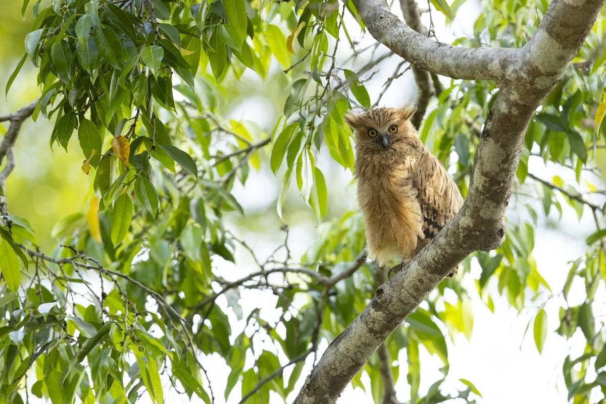 News in Brief: Finland, Bulgaria, Scotland, Spain & Thailand