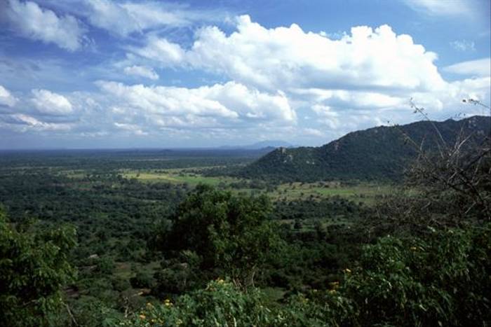 View from Mihintale (Rowan McOnegal)