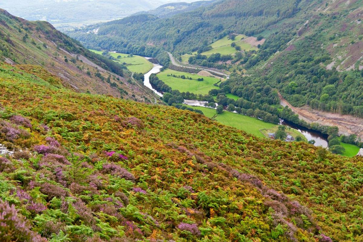 Snowdonia Way - Guided Trail - Precipice Walk Snowdonia - AdobeStock_35742933