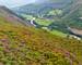 Snowdonia Way - Guided Trail - Precipice Walk Snowdonia - AdobeStock_35742933