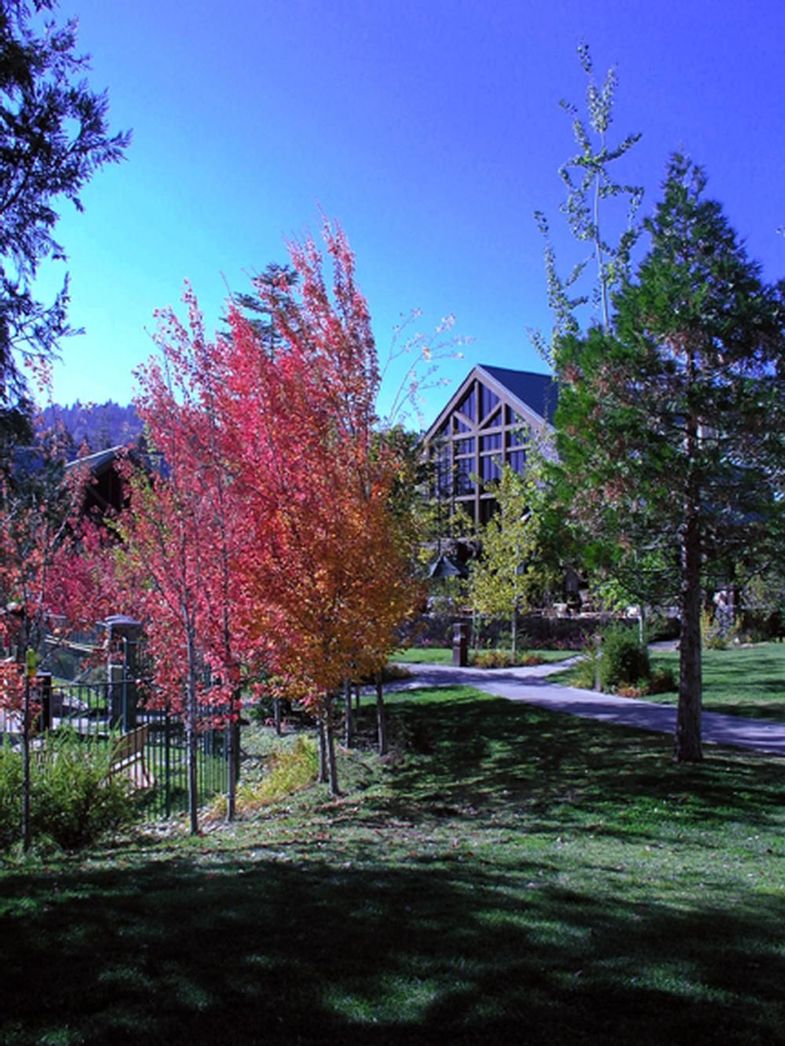 Tenaya Lodge Yosemite autumn.jpeg
