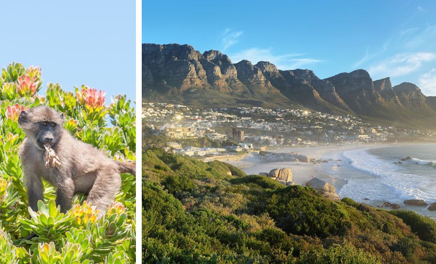 2-Cape Town Peninsular Tour.jpg 2-Cape Town Peninsular Tour.jpg