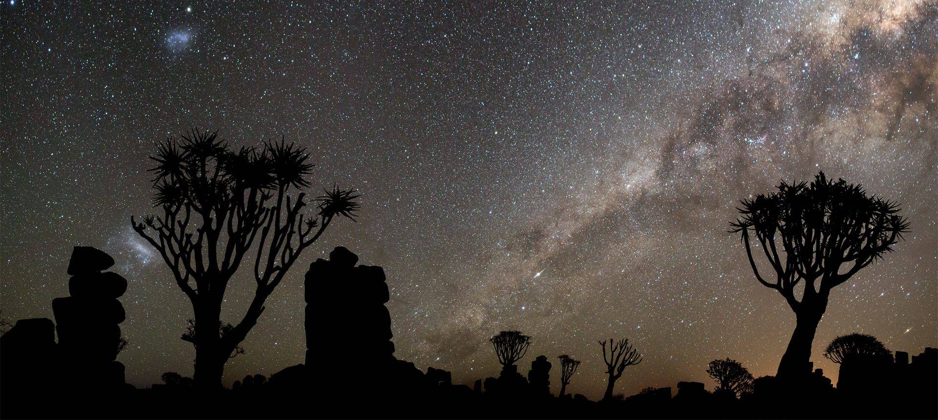 Quiver Trees And Three Galaxies, Mesosaurus Fossil Site, Keetmanshoop © R Harvey