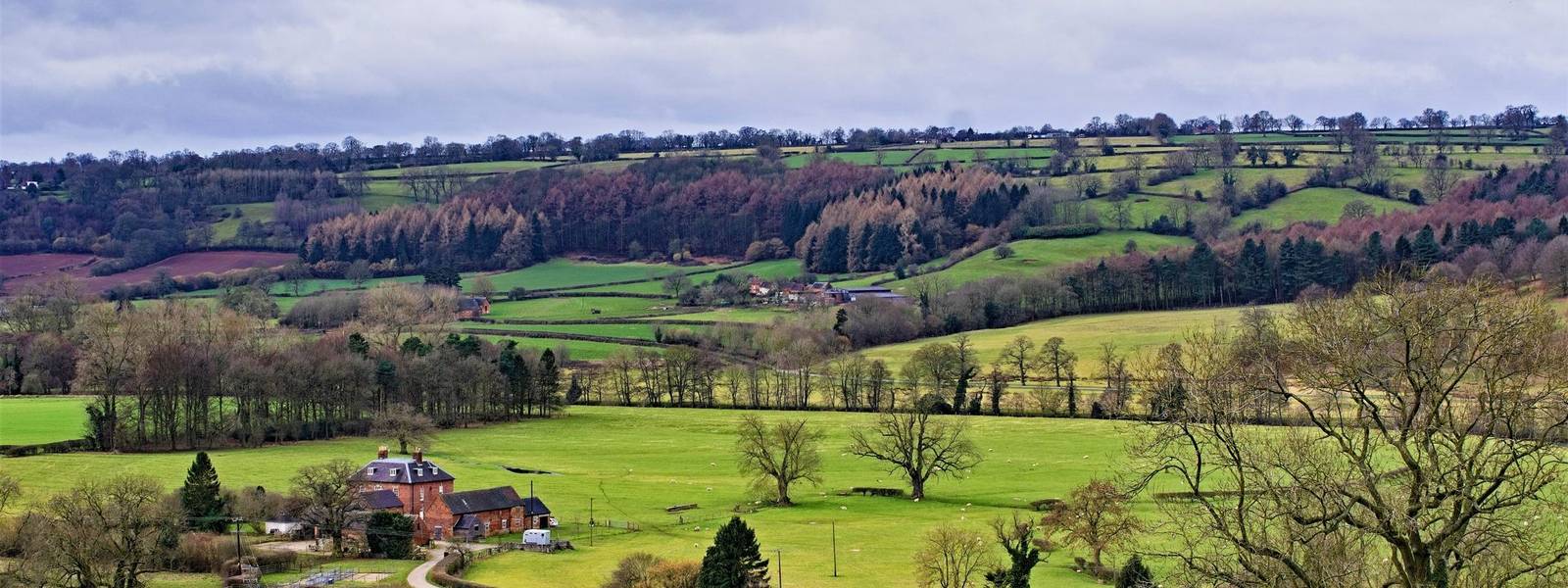 Dovedale - Peak District - Spring and Winter - AdobeStock_273181843.jpeg