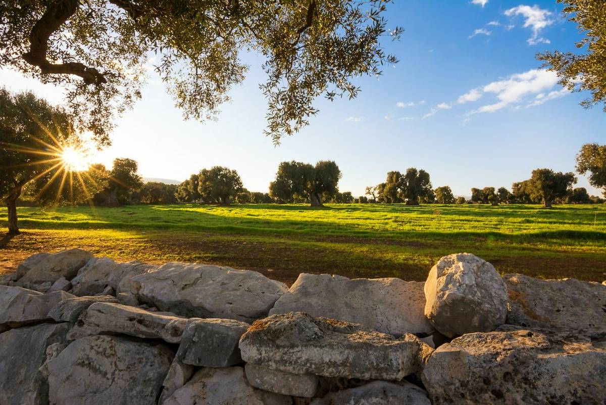 Authentic Puglia From Valley To Coast HF Holidays