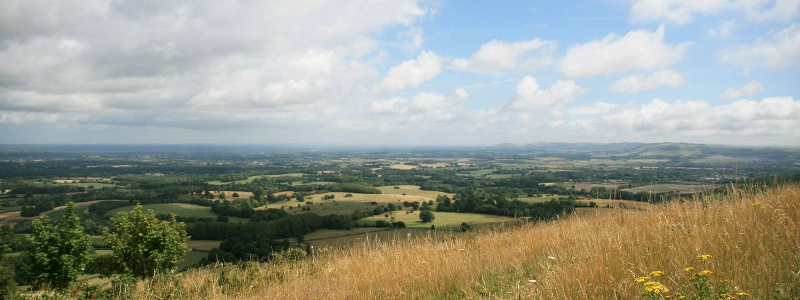 View NE from Chanctonbury Ring.JPG
