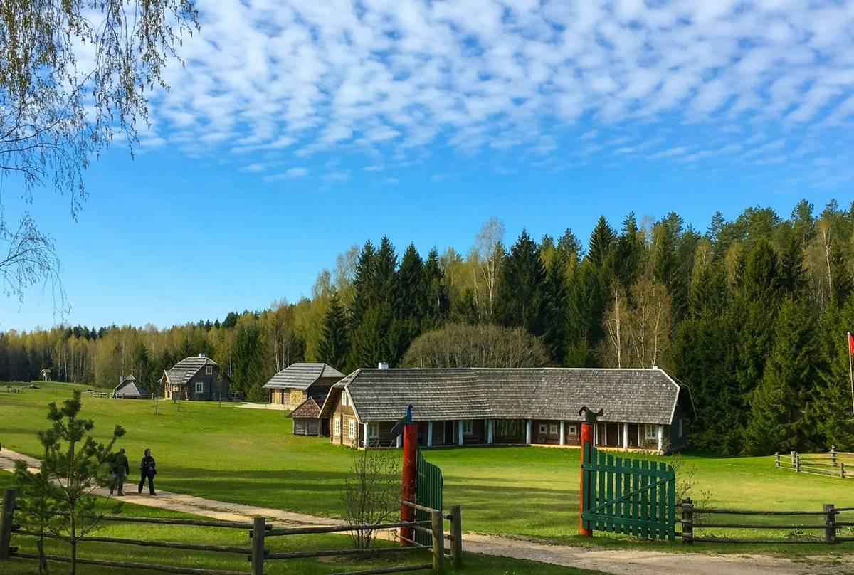 Main Image MišKinišKėS 5