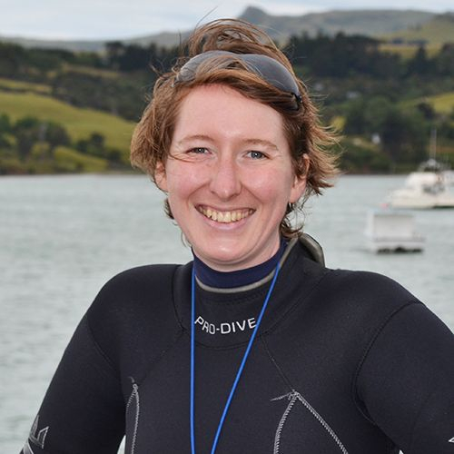 Alison Steel, Operations Manager
