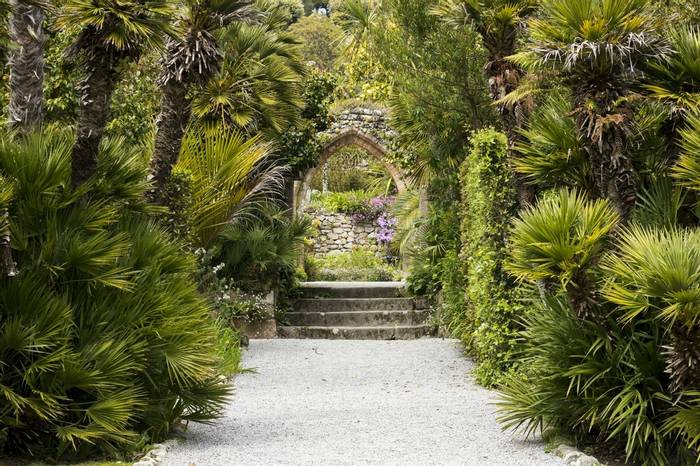 Tresco Abbey Garden, Isles Of Scilly Shutterstock 637439833
