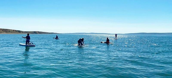 A group doing stand-up paddle boarding in the clear blue sea