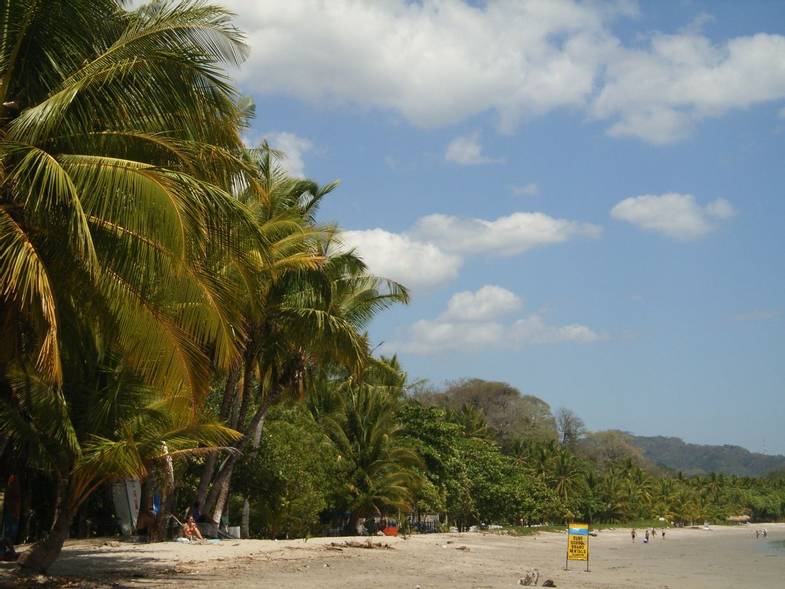 Intrepid Travel-costa rica-palm-beach.jpg