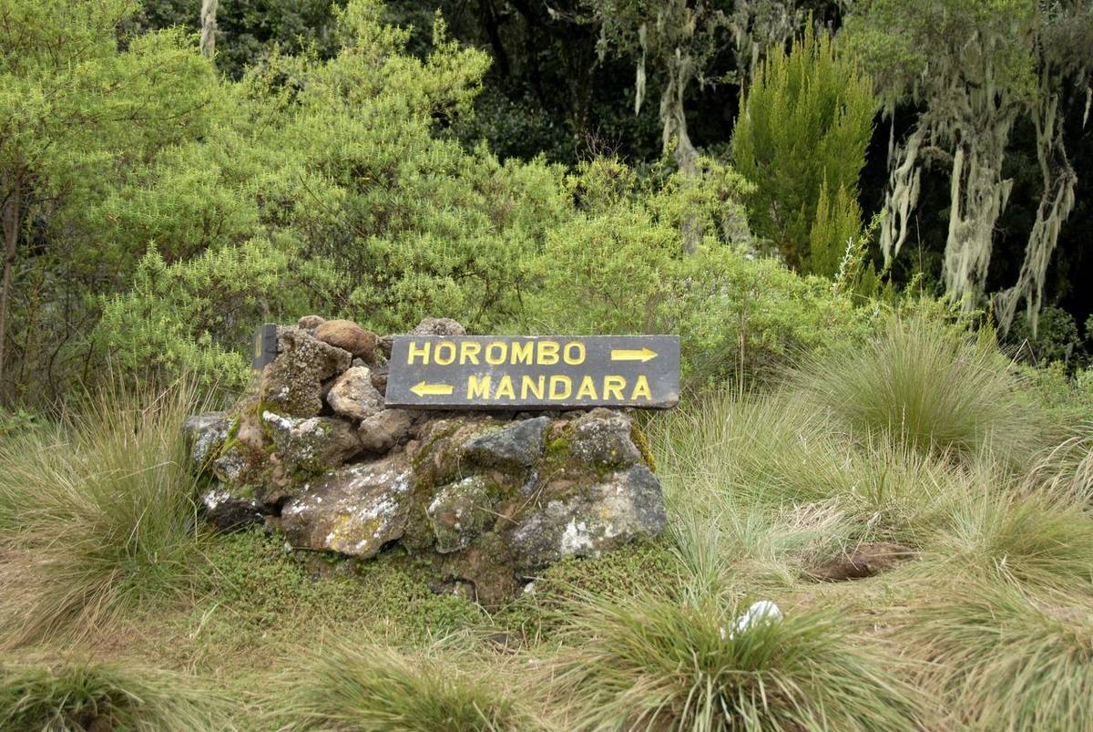 Kilimanjaro Marnagu Route Hut Signs.jpg