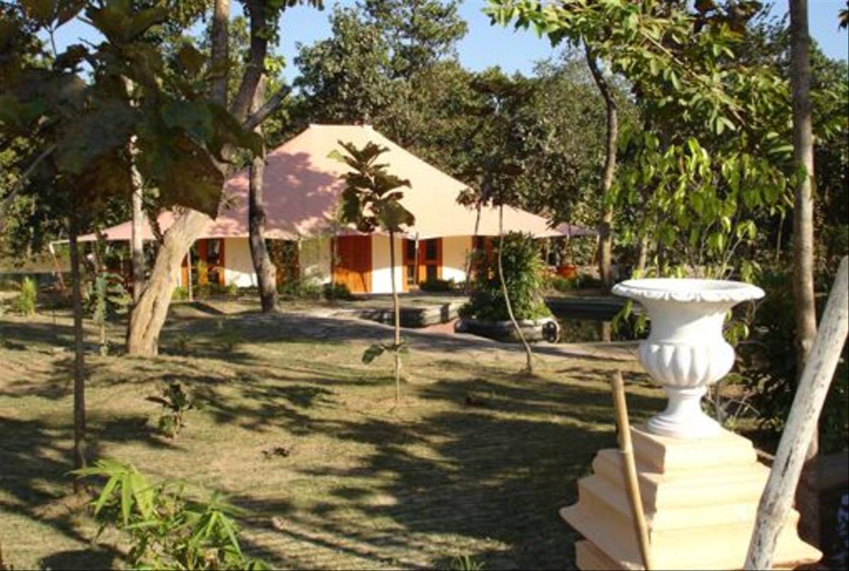 Tuli Tiger Corridor, Kanha National Park
