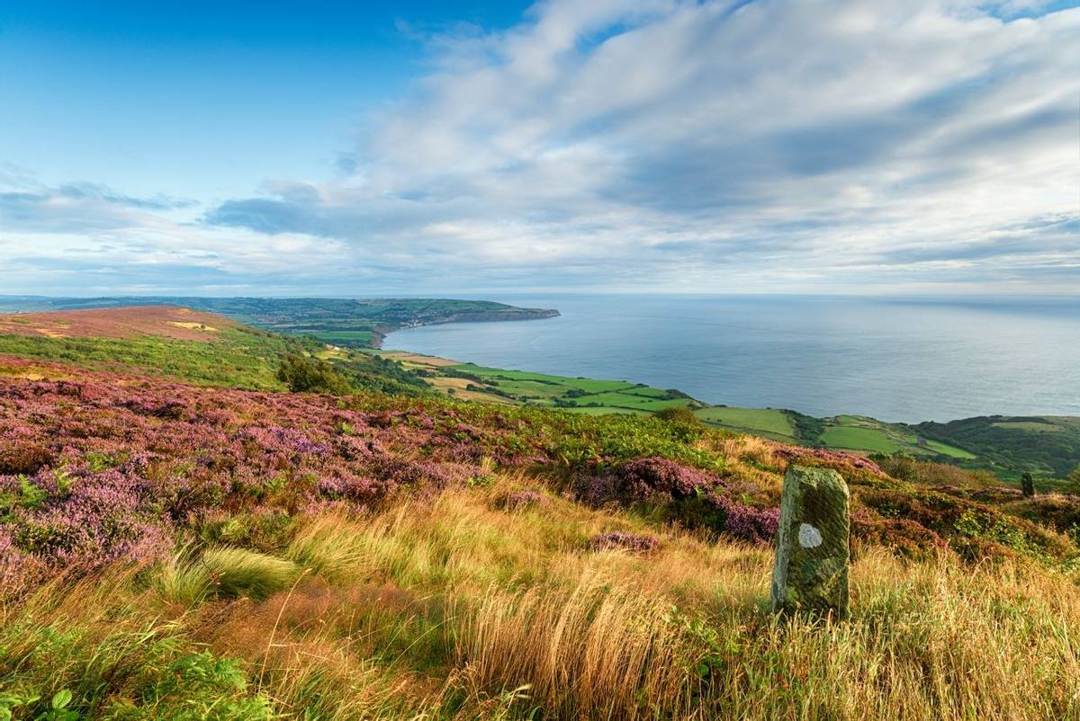 Summer on the North York Moors national park in Yorkshire, from Ravenscar looking out to Robin Hood's Bay