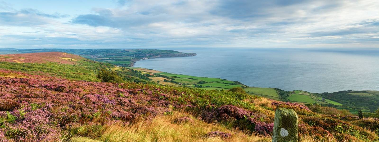 Summer on the North York Moors national park in Yorkshire, from Ravenscar looking out to Robin Hood's Bay