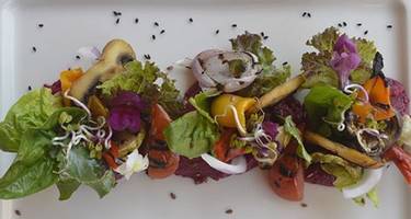 Grilled Organic Vegetable Salad