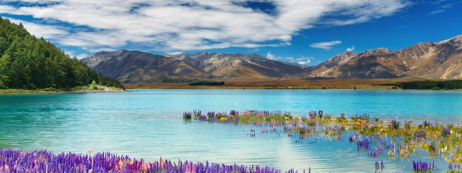 Lake Tekapo, New Zealand