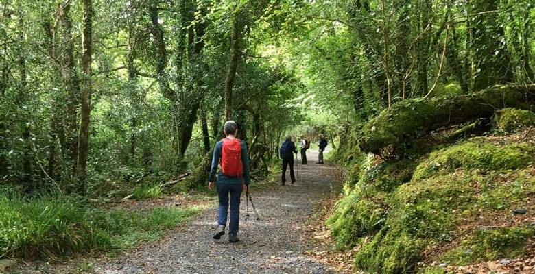 Ireland Guided Walking Holiday
