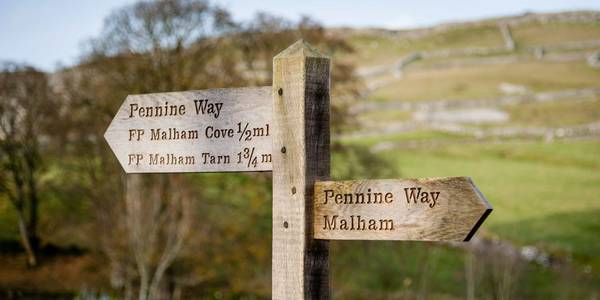 Exmoor views with pony