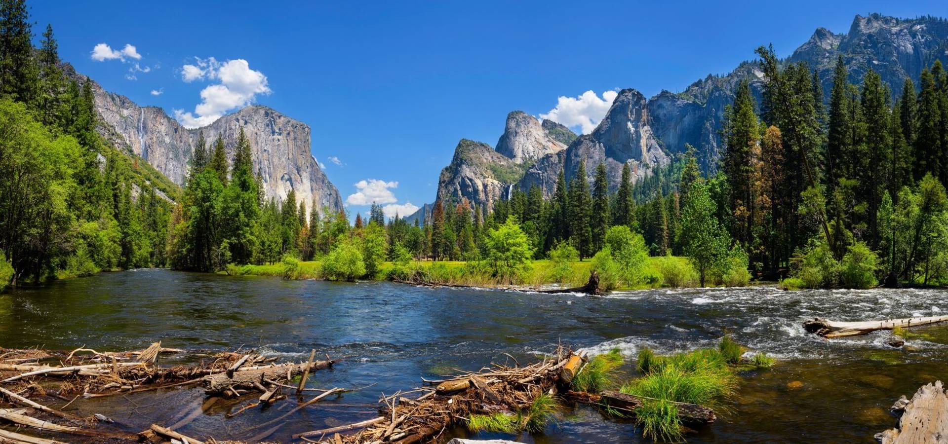 Vacations to America