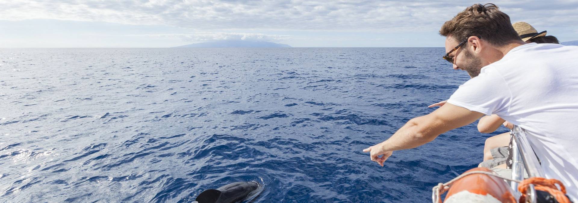 cetaceos_costa sur_IMG_0724 RESIZED.jpg Credit Turismo de Tenerife