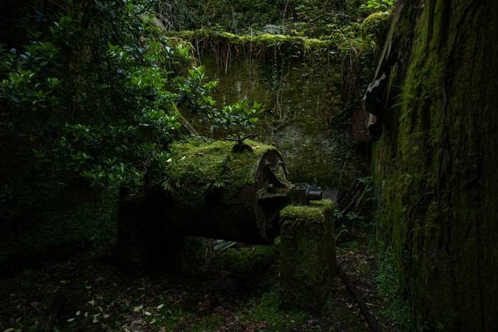 Abandoned mine habitat © Simone Giachello