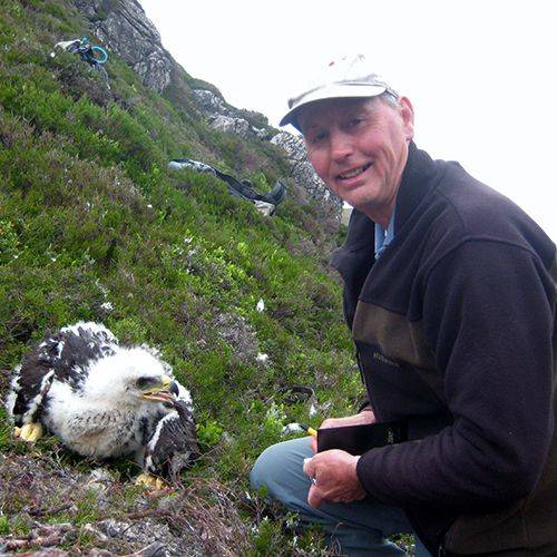 David Pierce