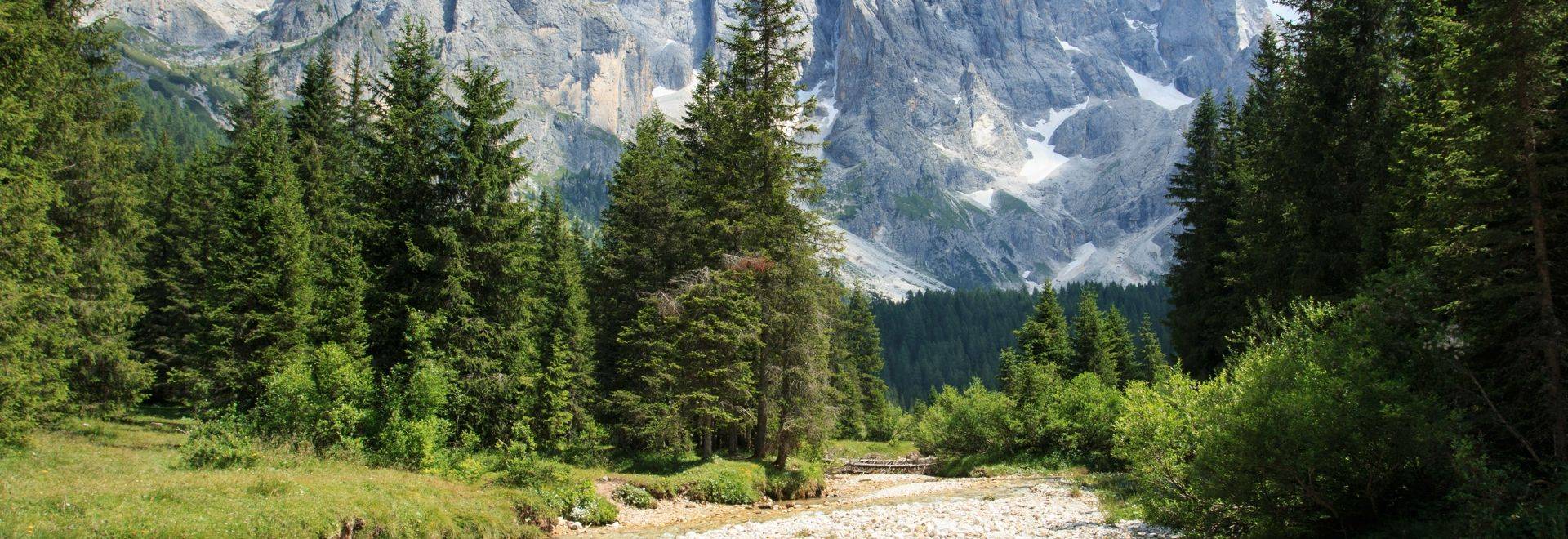 Val Venegia, Italian Dolomites shutterstock_625066994.jpg
