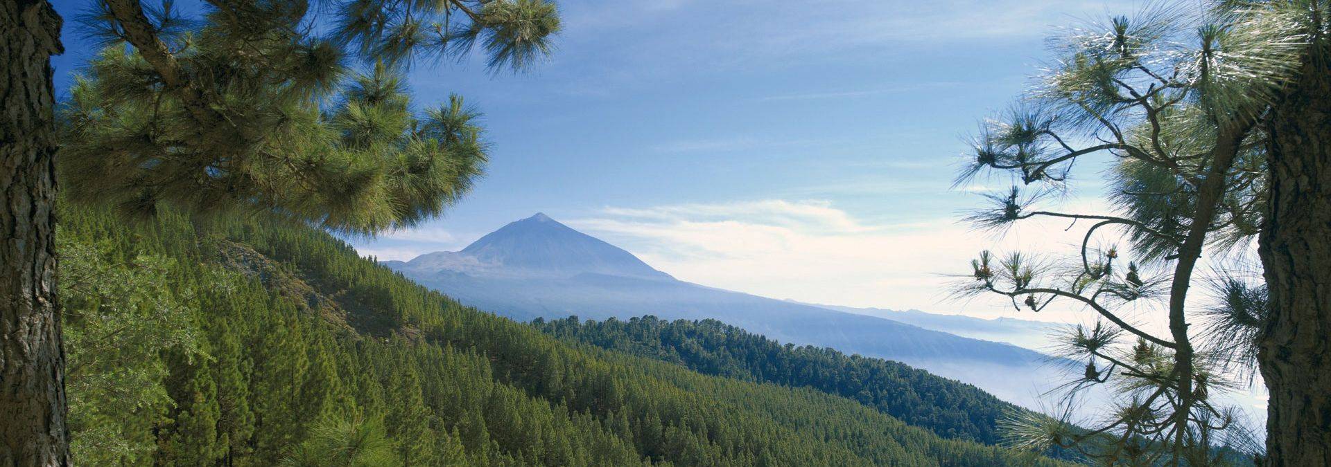 B0006P 0006 Credit Turismo de Tenerife