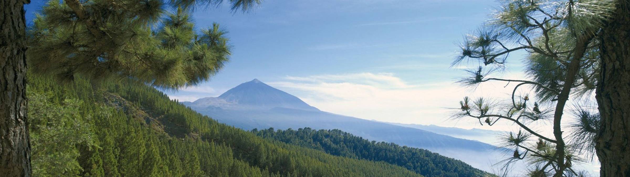 B0006P 0006 Credit Turismo de Tenerife